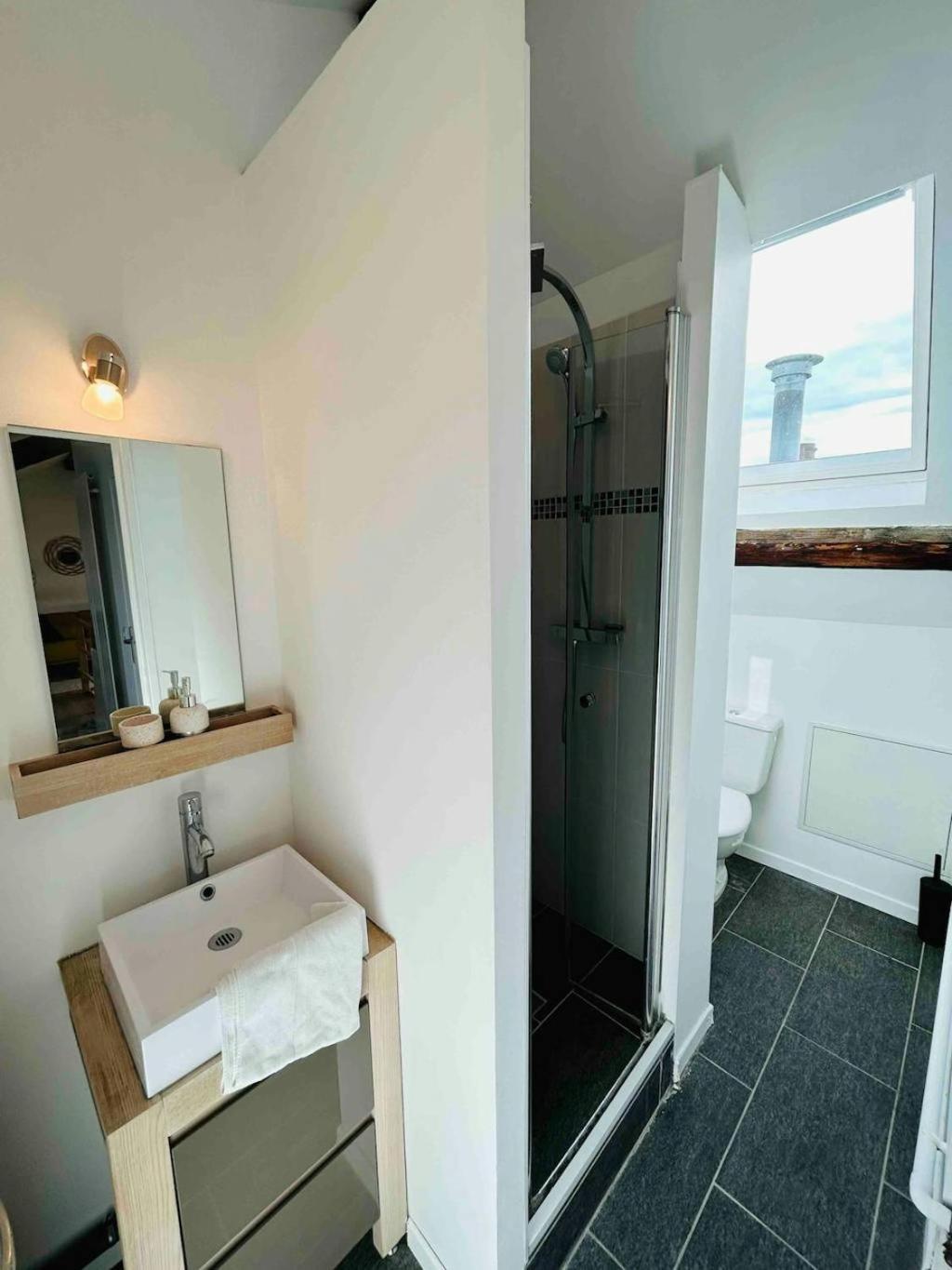 Les Toits De Thillois Hypercentre Apartment Reims Luaran gambar